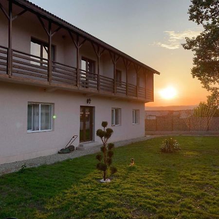 Pensiunea Alin Sisesti (Mehedinti) Exterior foto