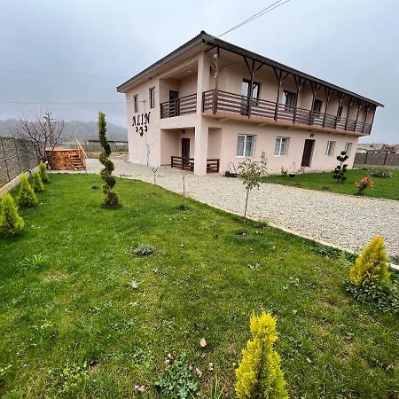Pensiunea Alin Sisesti (Mehedinti) Exterior foto