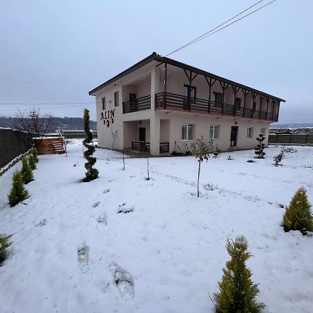 Pensiunea Alin Sisesti (Mehedinti) Exterior foto