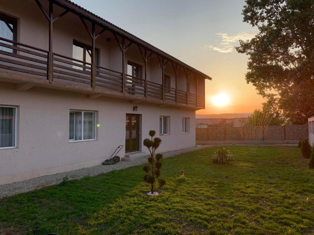 Pensiunea Alin Sisesti (Mehedinti) Exterior foto