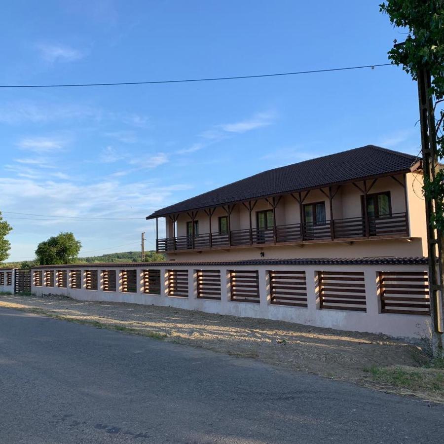Pensiunea Alin Sisesti (Mehedinti) Exterior foto