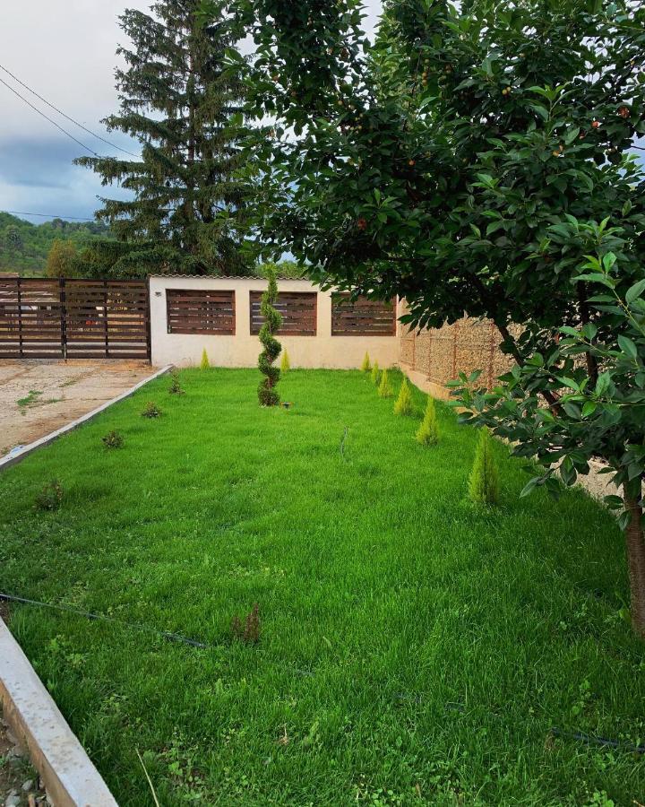 Pensiunea Alin Sisesti (Mehedinti) Exterior foto