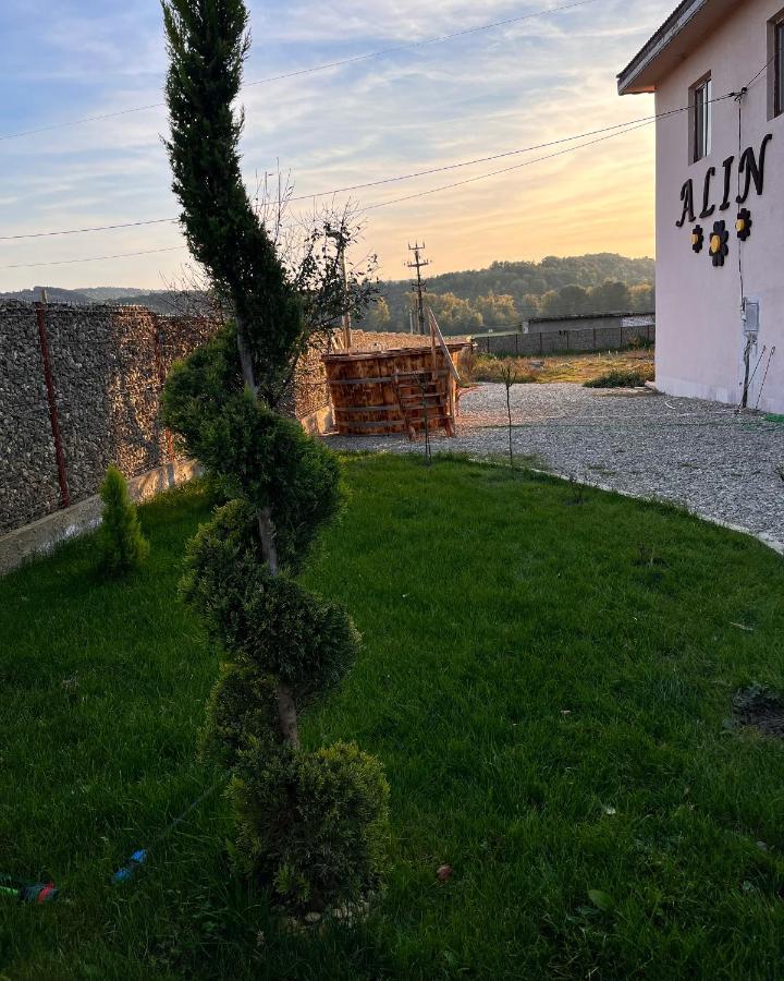 Pensiunea Alin Sisesti (Mehedinti) Exterior foto