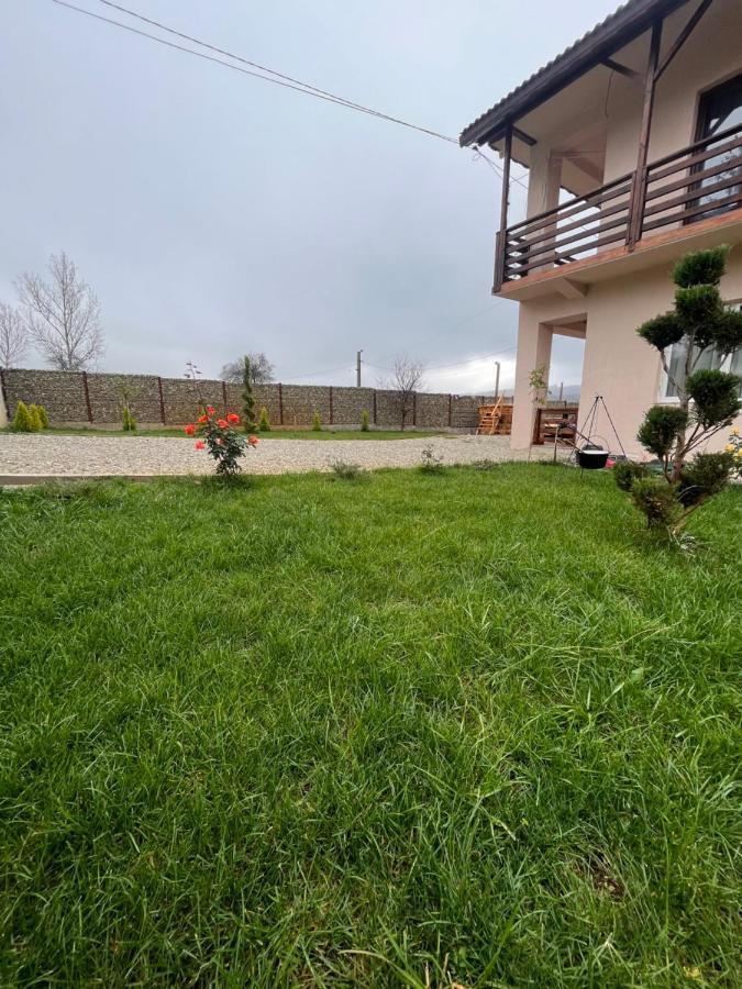 Pensiunea Alin Sisesti (Mehedinti) Exterior foto