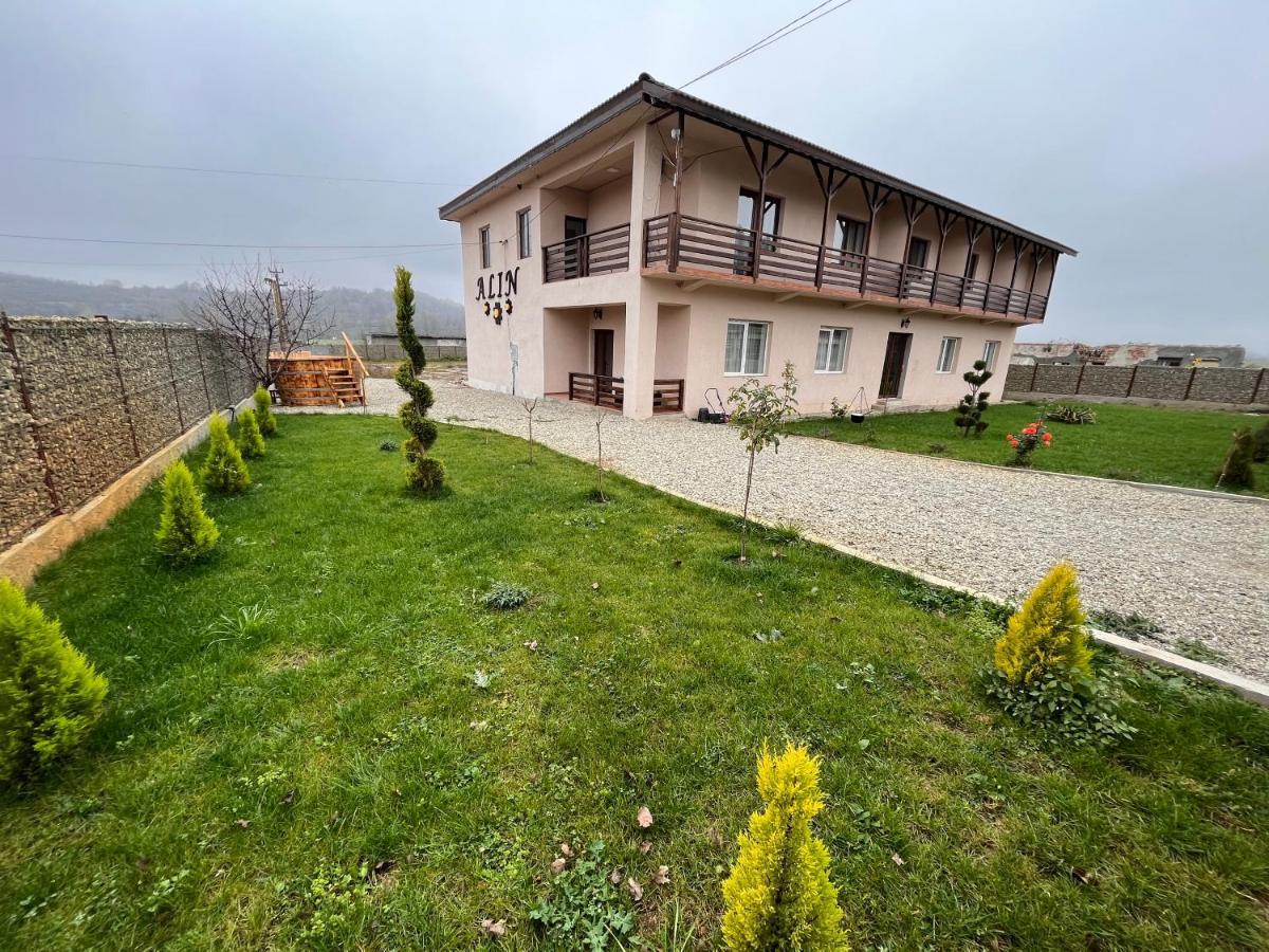 Pensiunea Alin Sisesti (Mehedinti) Exterior foto