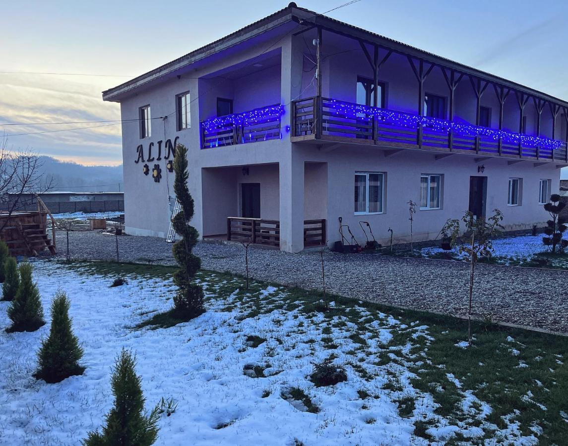 Pensiunea Alin Sisesti (Mehedinti) Exterior foto